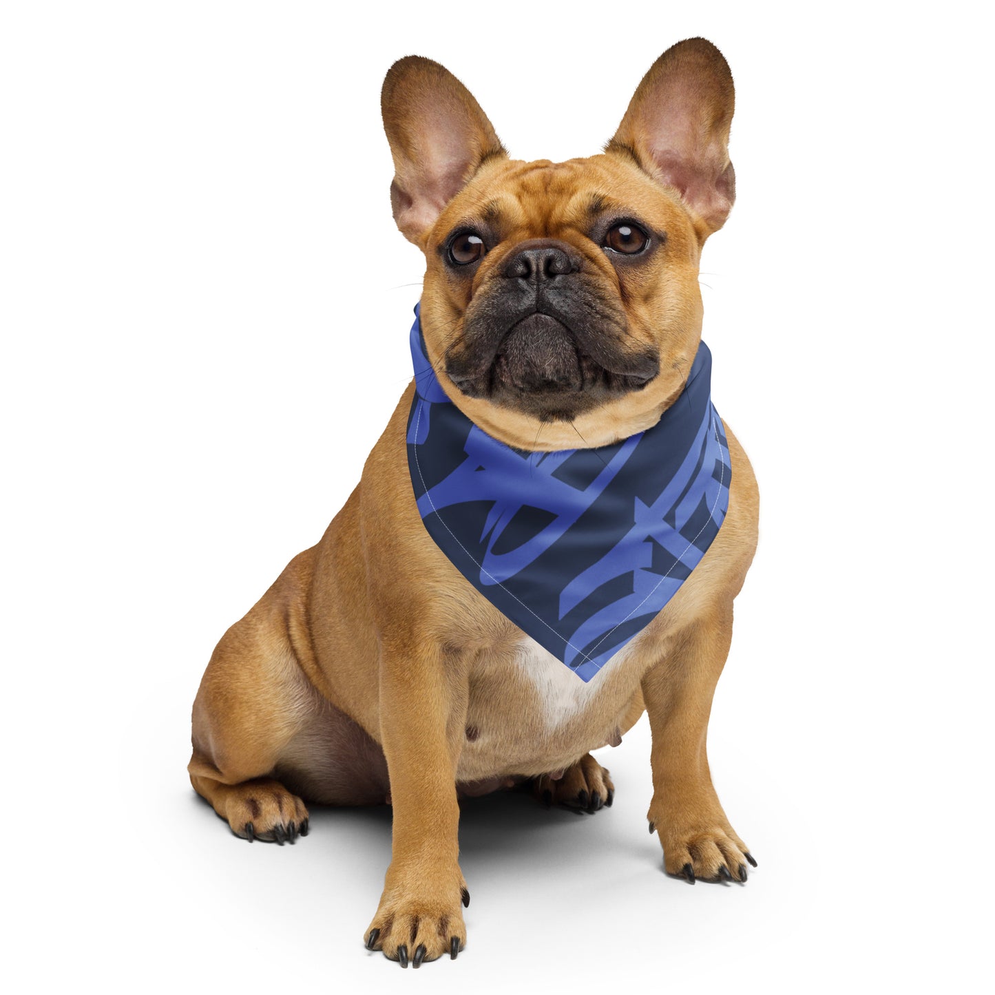 5 Boroughs Bandana Azul